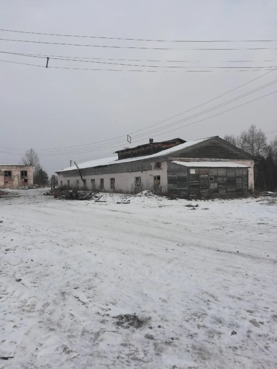 Создание условий для работы в городе Урай городских центров временного  содержания бездомных собак и кошек - Портал МОИФИНАНСЫ.РФ